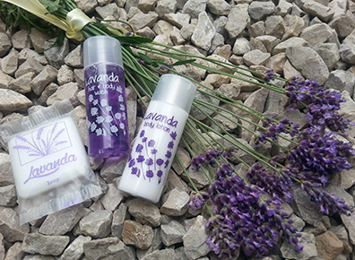 Lavanda
