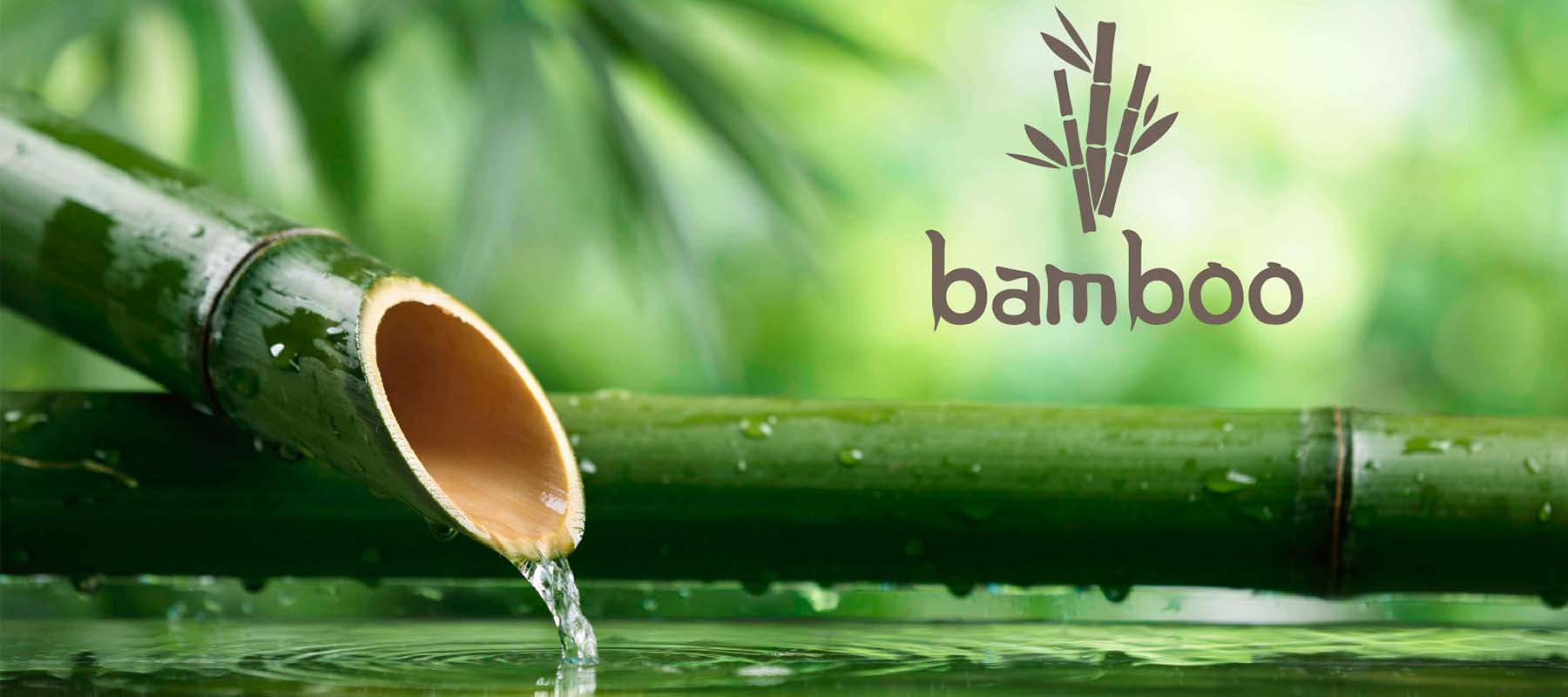 Bamboo