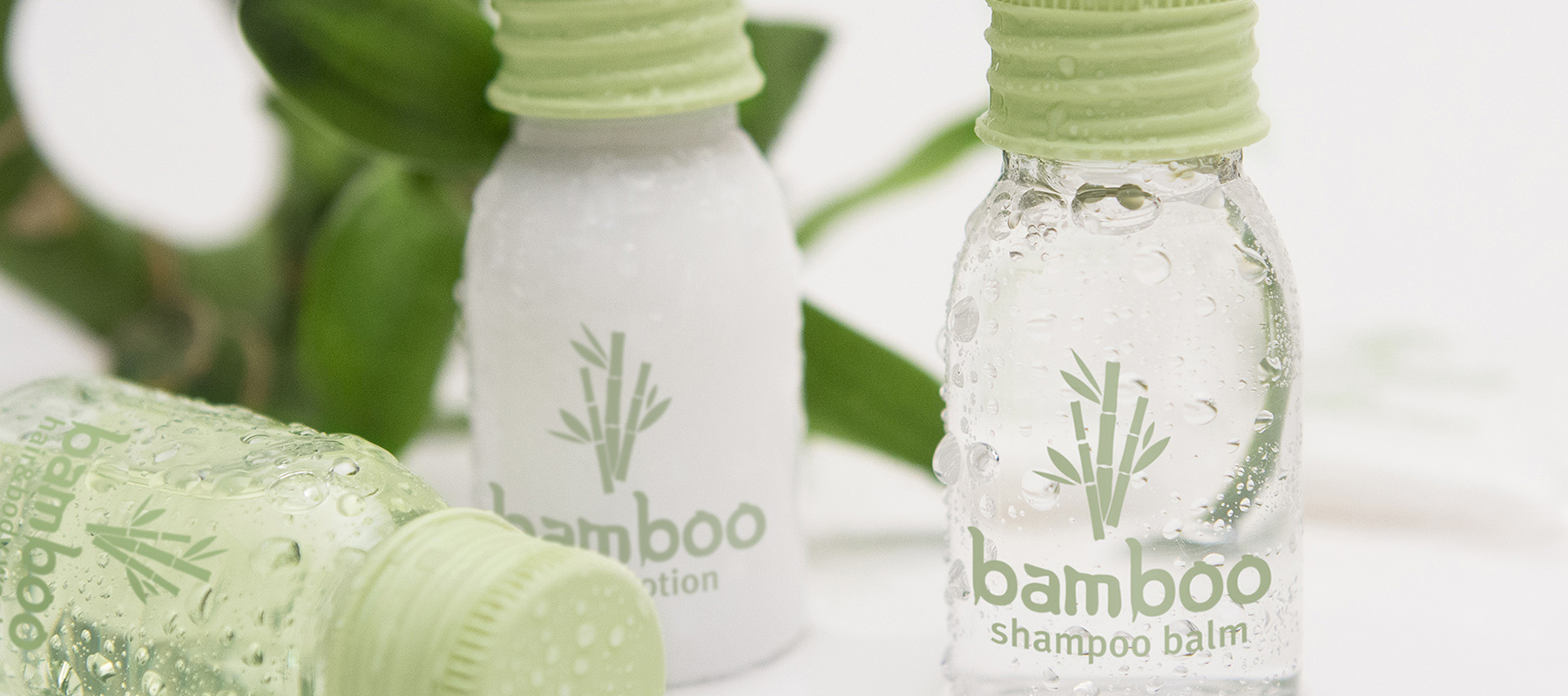 Bamboo