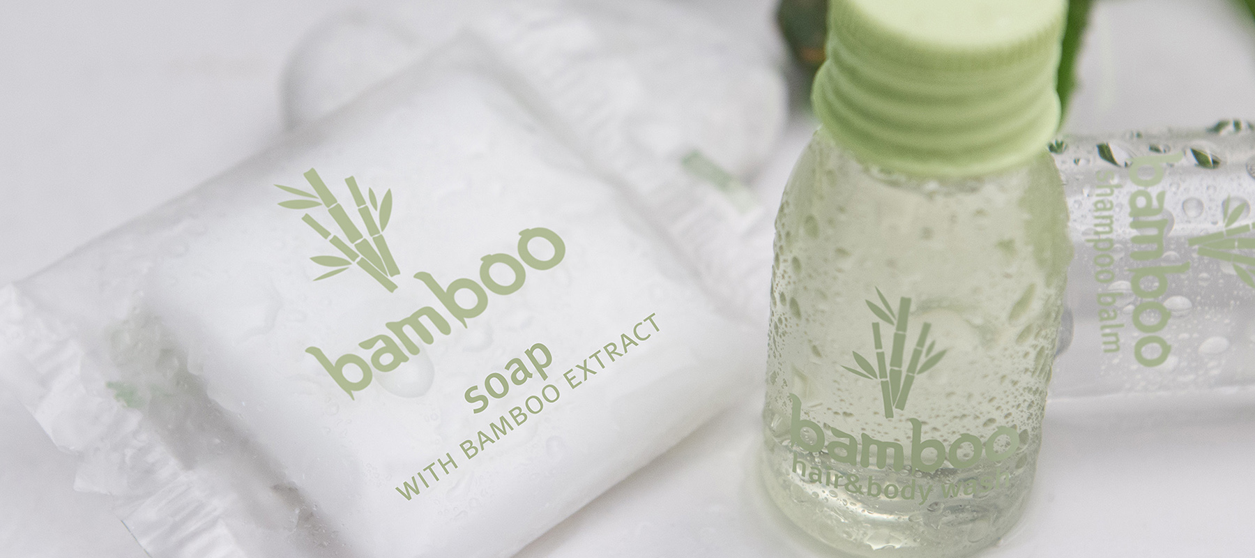 Bamboo