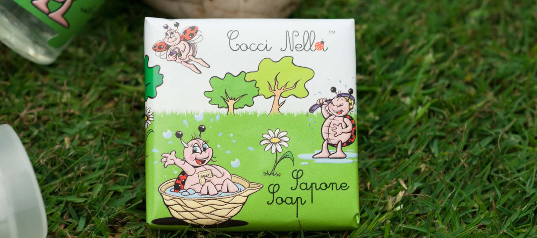 coccinella