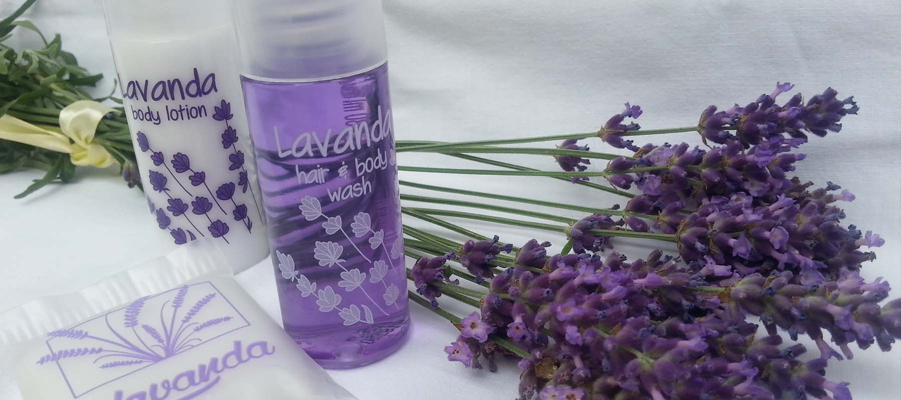lavanda