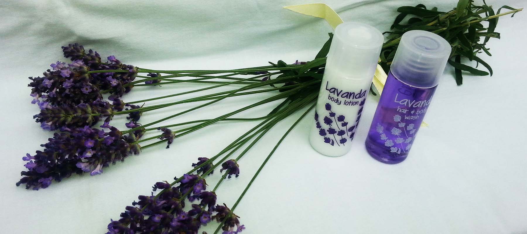 lavanda
