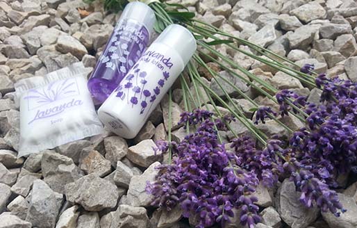 lavanda
